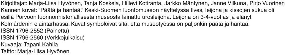 Keski-Suomen luontomuseon näyttelyssä Ilves, leijona ja kissojen sukua oli esillä Porvoon luonnonhistoriallisesta museosta lainattu