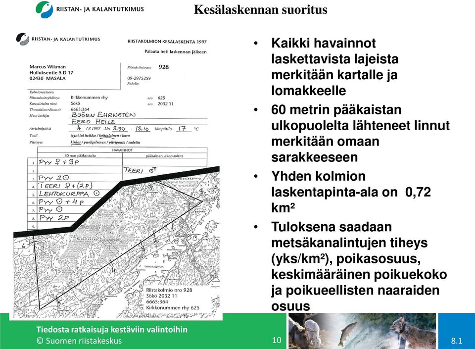 Yhden kolmion laskentapinta-ala on 0,72 km² Tuloksena saadaan metsäkanalintujen tiheys