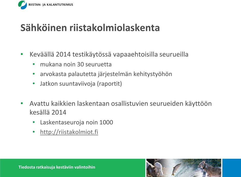 kehitystyöhön Jatkon suuntaviivoja (raportit) Avattu kaikkien laskentaan