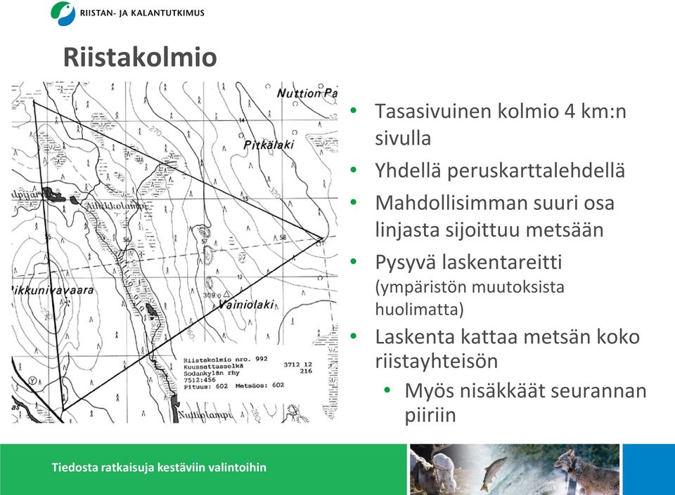 metsään Pysyvä laskentareitti (ympäristön muutoksista huolimatta)