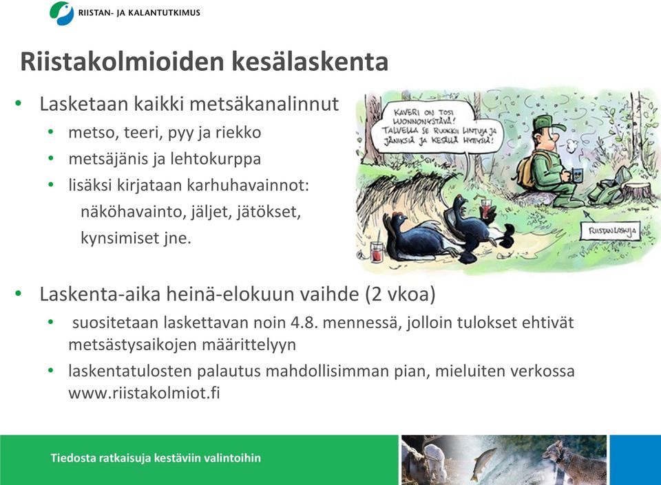 Laskenta-aika heinä-elokuun vaihde (2 vkoa) suositetaan laskettavan noin 4.8.