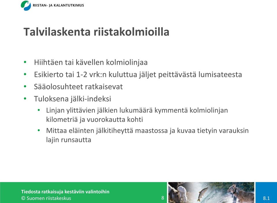 Linjan ylittävien jälkien lukumäärä kymmentä kolmiolinjan kilometriä ja vuorokautta kohti