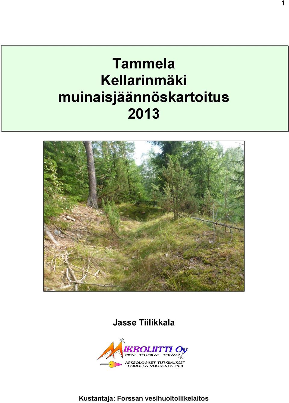 2013 Jasse Tiilikkala