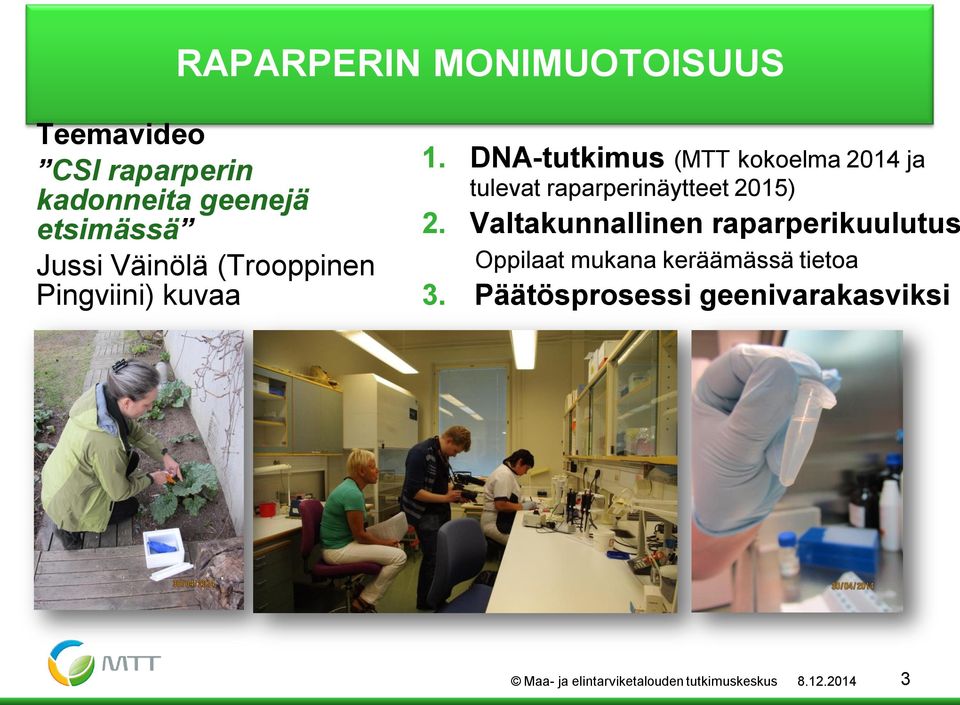 DNA-tutkimus (MTT kokoelma 2014 ja tulevat raparperinäytteet 2015) 2.