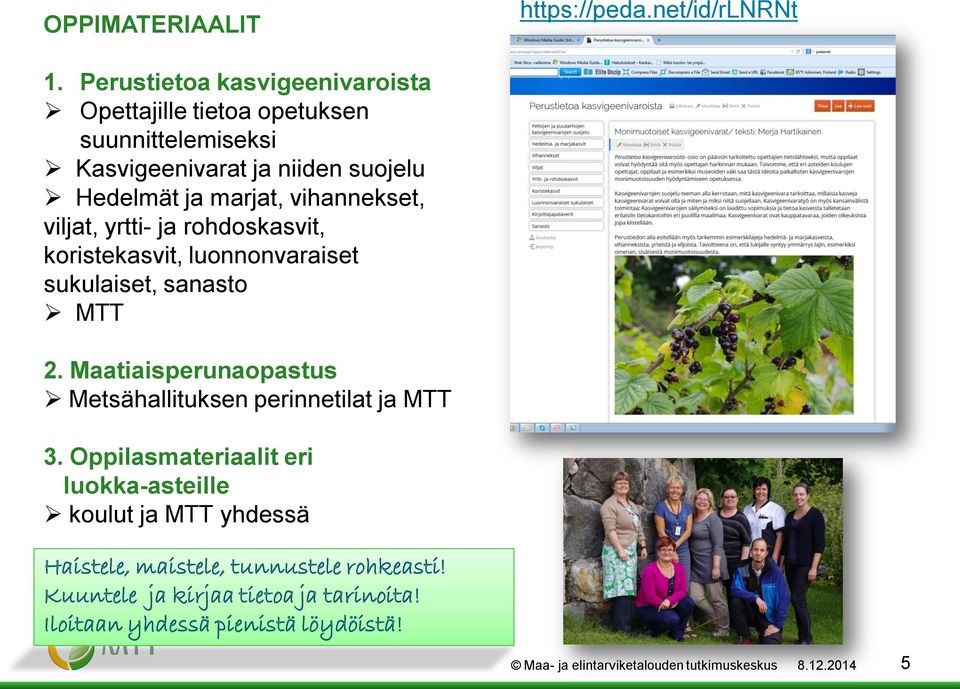 vihannekset, viljat, yrtti- ja rohdoskasvit, koristekasvit, luonnonvaraiset sukulaiset, sanasto MTT 2.