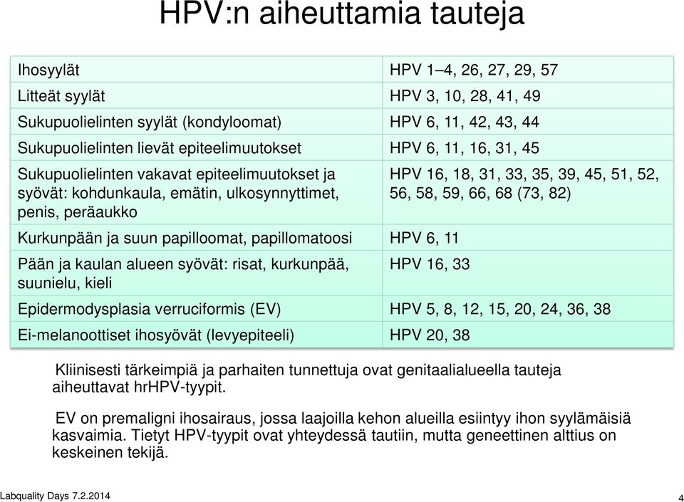 kaulan alueen syövät: risat, kurkunpää, suunielu, kieli HPV 16, 18, 31, 33, 35, 39, 45, 51, 52, 56, 58, 59, 66, 68 (73, 82) HPV 16, 33 Epidermodysplasia verruciformis (EV) HPV 5, 8, 12, 15, 20, 24,