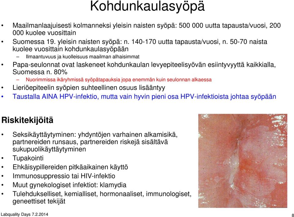 80% Nuorimmissa ikäryhmissä syöpätapauksia jopa enemmän kuin seulonnan alkaessa Lieriöepiteelin syöpien suhteellinen osuus lisääntyy Taustalla AINA HPV-infektio, mutta vain hyvin pieni osa