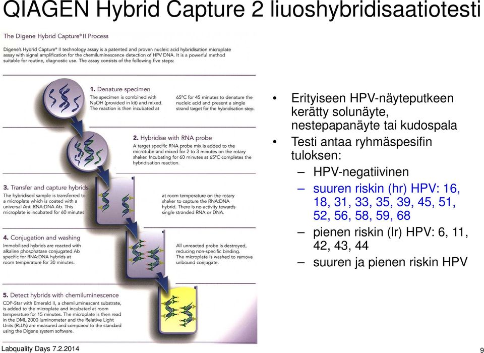 HPV-negatiivinen suuren riskin (hr) HPV: 16, 18, 31, 33, 35, 39, 45, 51, 52, 56, 58,