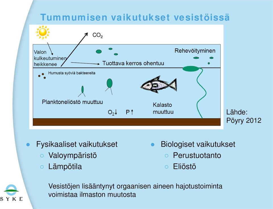 Biologiset vaikutukset Perustuotanto Eliöstö Vesistöjen