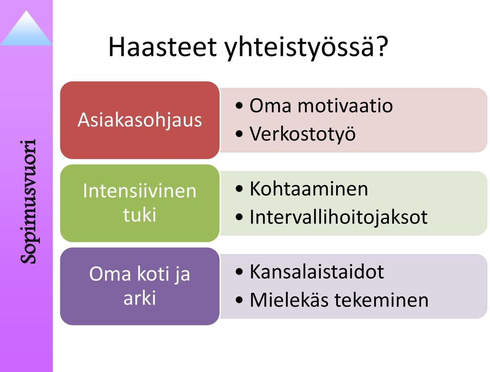 Intensiivinen tuki Oma koti ja arki Kohtaaminen