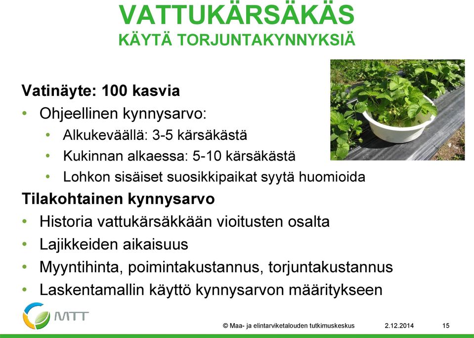 kynnysarvo Historia vattukärsäkkään vioitusten osalta Lajikkeiden aikaisuus Myyntihinta, poimintakustannus,