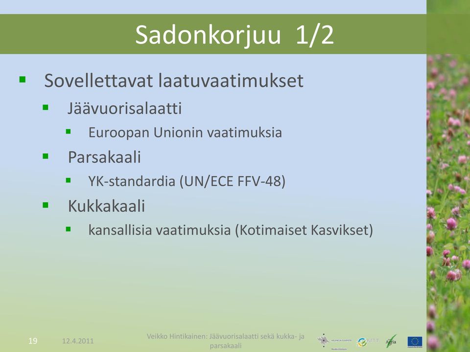 Parsakaali YK-standardia (UN/ECE FFV-48)