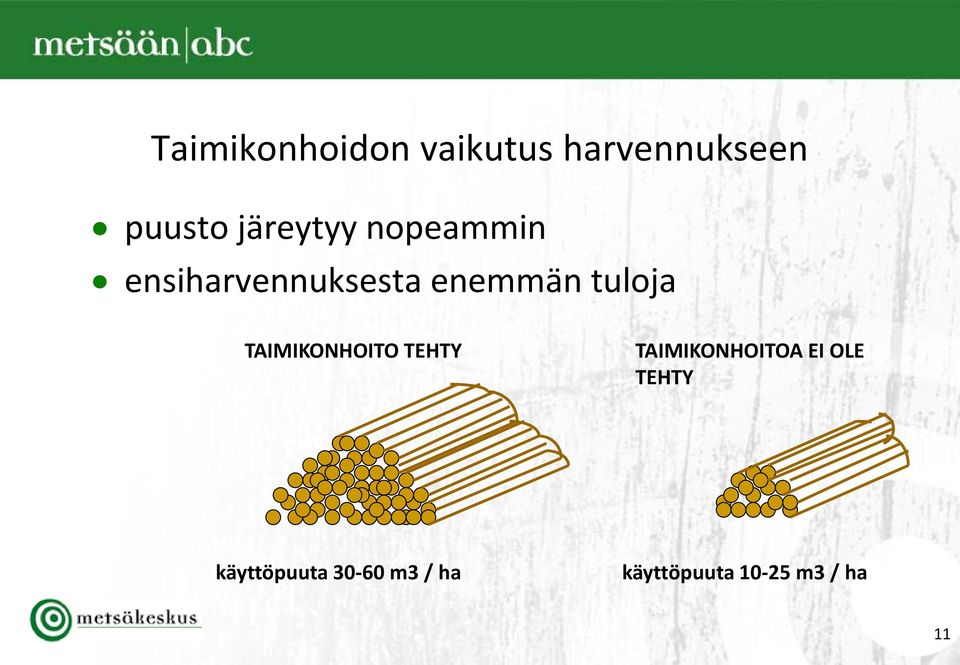 tuloja TAIMIKONHOITO TEHTY TAIMIKONHOITOA EI OLE