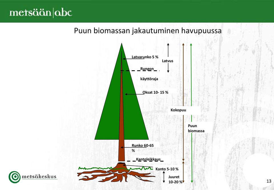 Oksat 10-15 % Kokopuu Puun biomassa Runko