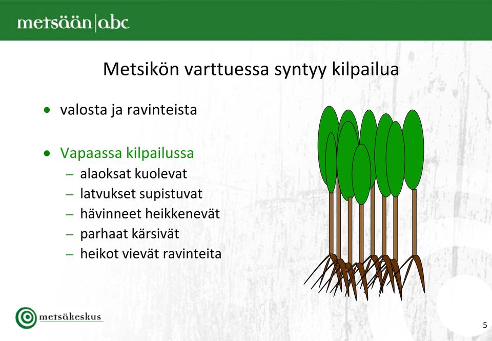 kuolevat latvukset supistuvat hävinneet