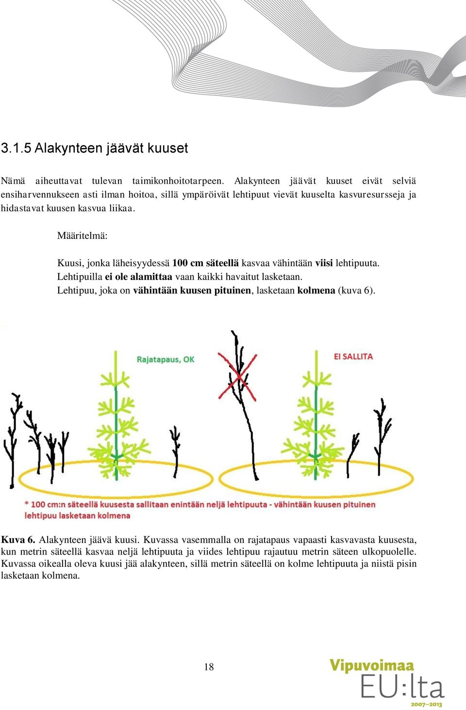 Määritelmä: Kuusi, jonka läheisyydessä 100 cm säteellä kasvaa vähintään viisi lehtipuuta. Lehtipuilla ei ole alamittaa vaan kaikki havaitut lasketaan.