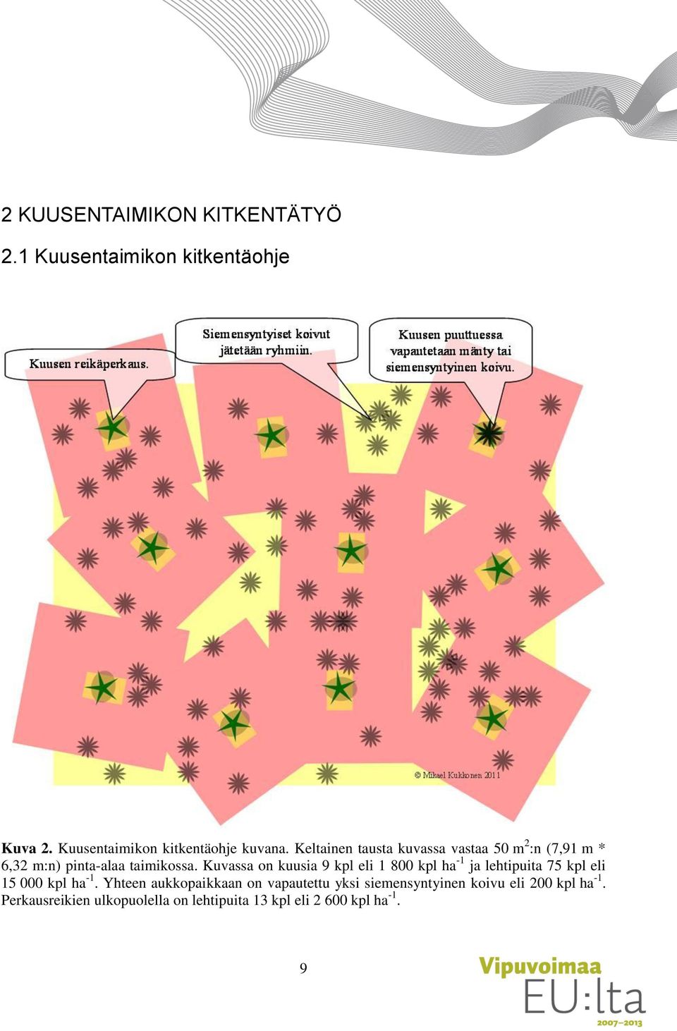 Kuvassa on kuusia 9 kpl eli 1 800 kpl ha -1 ja lehtipuita 75 kpl eli 15 000 kpl ha -1.