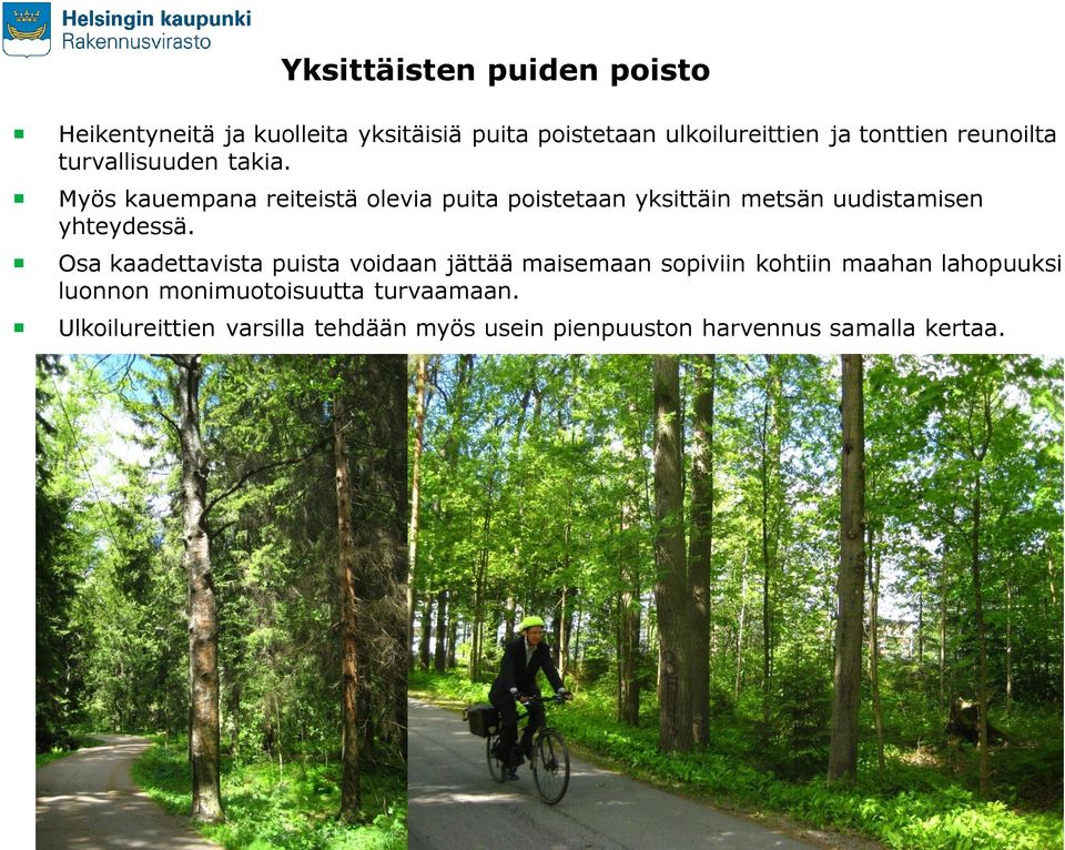 Myös kauempana reiteistä olevia puita poistetaan yksittäin metsän uudistamisen yhteydessä.