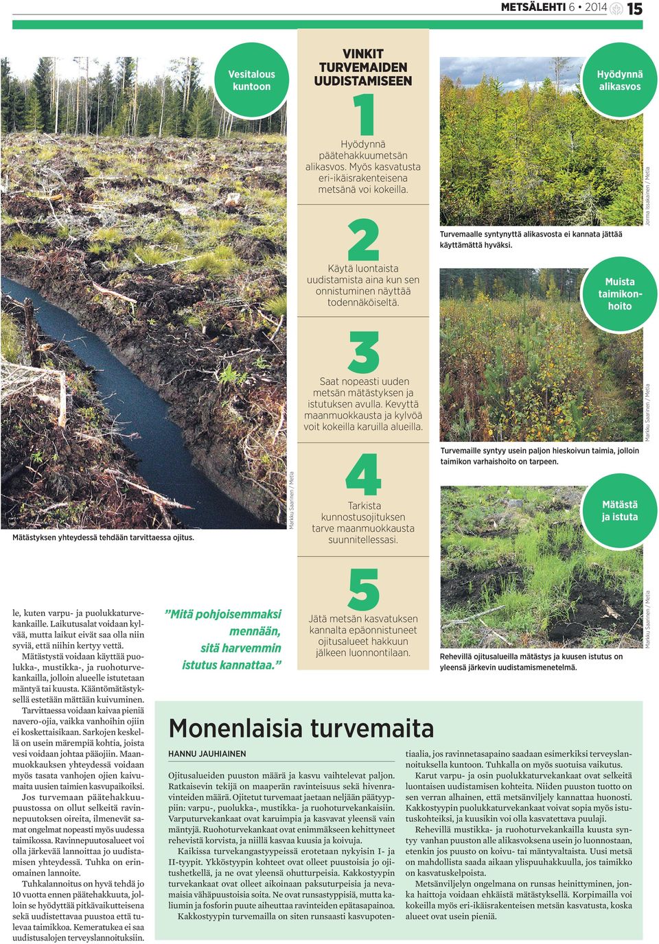 Muista taimikonhoito Saat nopeasti uuden metsän mätästyksen ja istutuksen avulla. Kevyttä maanmuokkausta ja kylvöä voit kokeilla karuilla alueilla. Mätästyksen yhteydessä tehdään tarvittaessa ojitus.