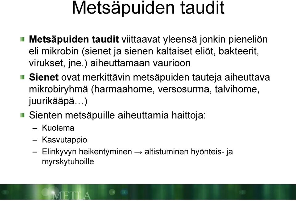 ) aiheuttamaan vaurioon Sienet ovat merkittävin metsäpuiden tauteja aiheuttava mikrobiryhmä