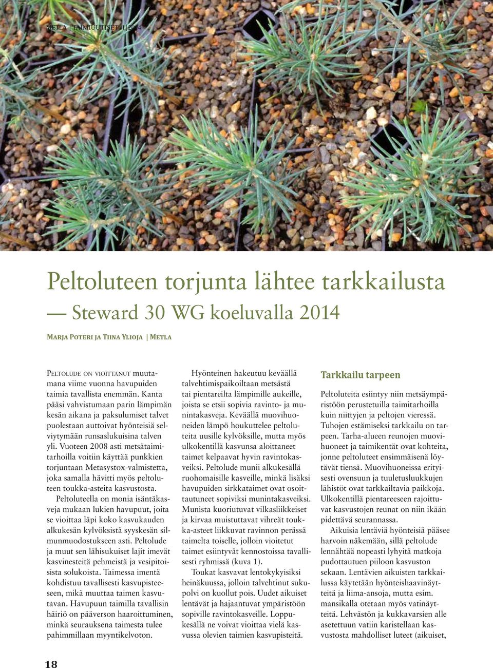 Vuoteen 2008 asti metsätaimitarhoilla voitiin käyttää punkkien torjuntaan Metasystox-valmistetta, joka samalla hävitti myös peltoluteen toukka-asteita kasvustosta.