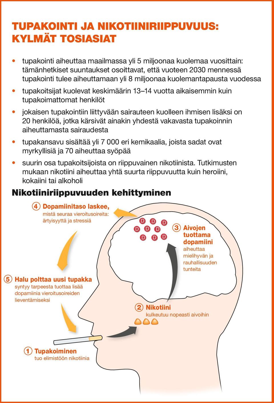 kuolleen ihmisen lisäksi on 20 henkilöä, jotka kärsivät ainakin yhdestä vakavasta tupakoinnin aiheuttamasta sairaudesta tupakansavu sisältää yli 7 000 eri kemikaalia, joista sadat ovat myrkyllisiä ja