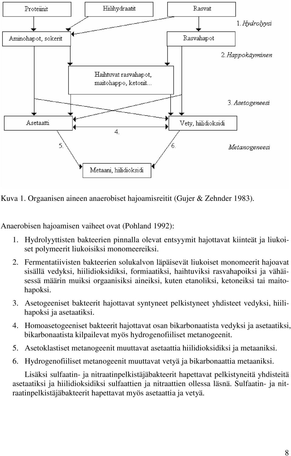 Fermentatiivisten bakteerien solukalvon läpäisevät liukoiset monomeerit hajoavat sisällä vedyksi, hiilidioksidiksi, formiaatiksi, haihtuviksi rasvahapoiksi ja vähäisessä määrin muiksi orgaanisiksi