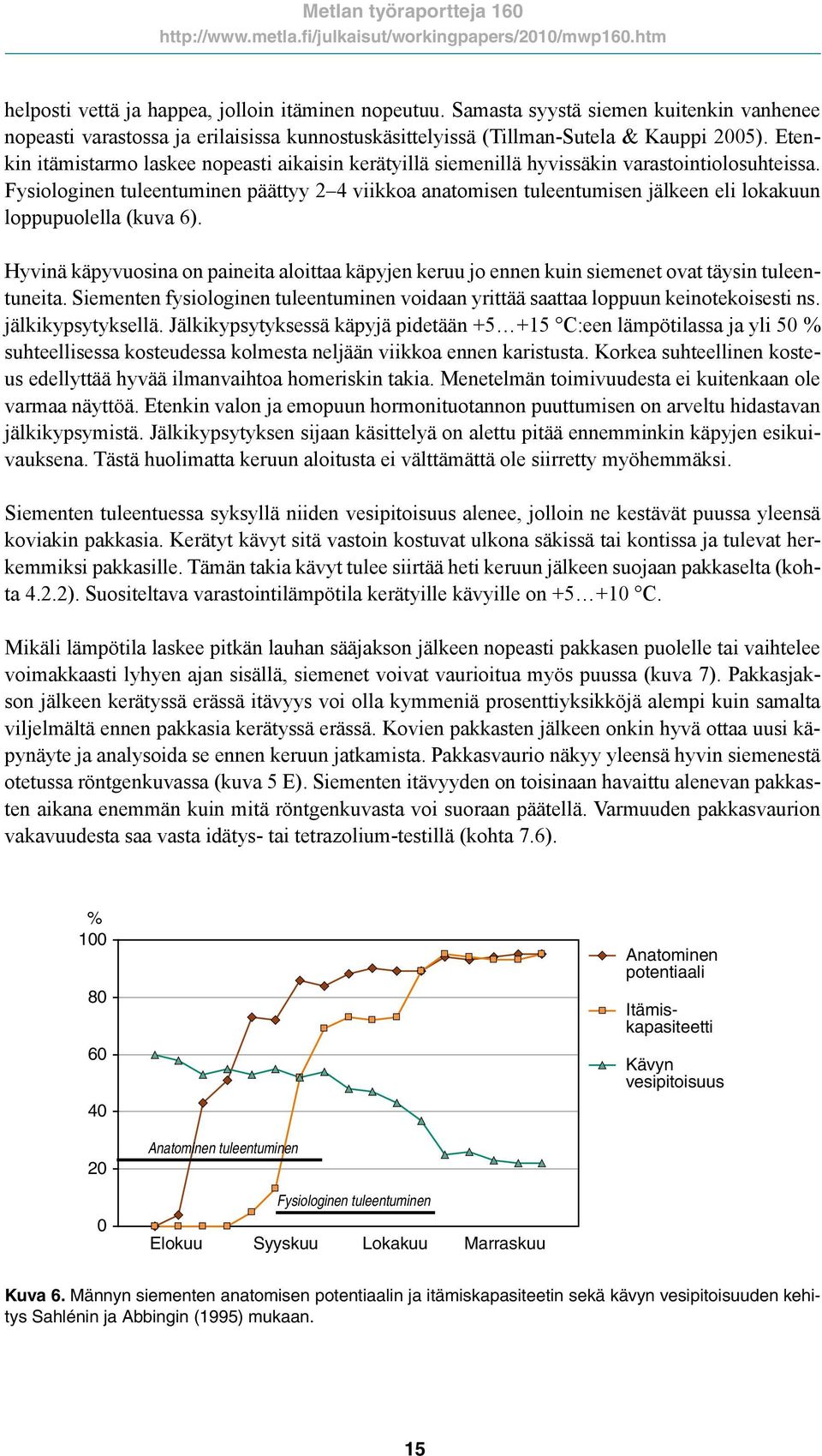 Fysiologinen tuleentuminen päättyy 2 4 viikkoa anatomisen tuleentumisen jälkeen eli lokakuun loppupuolella (kuva 6).