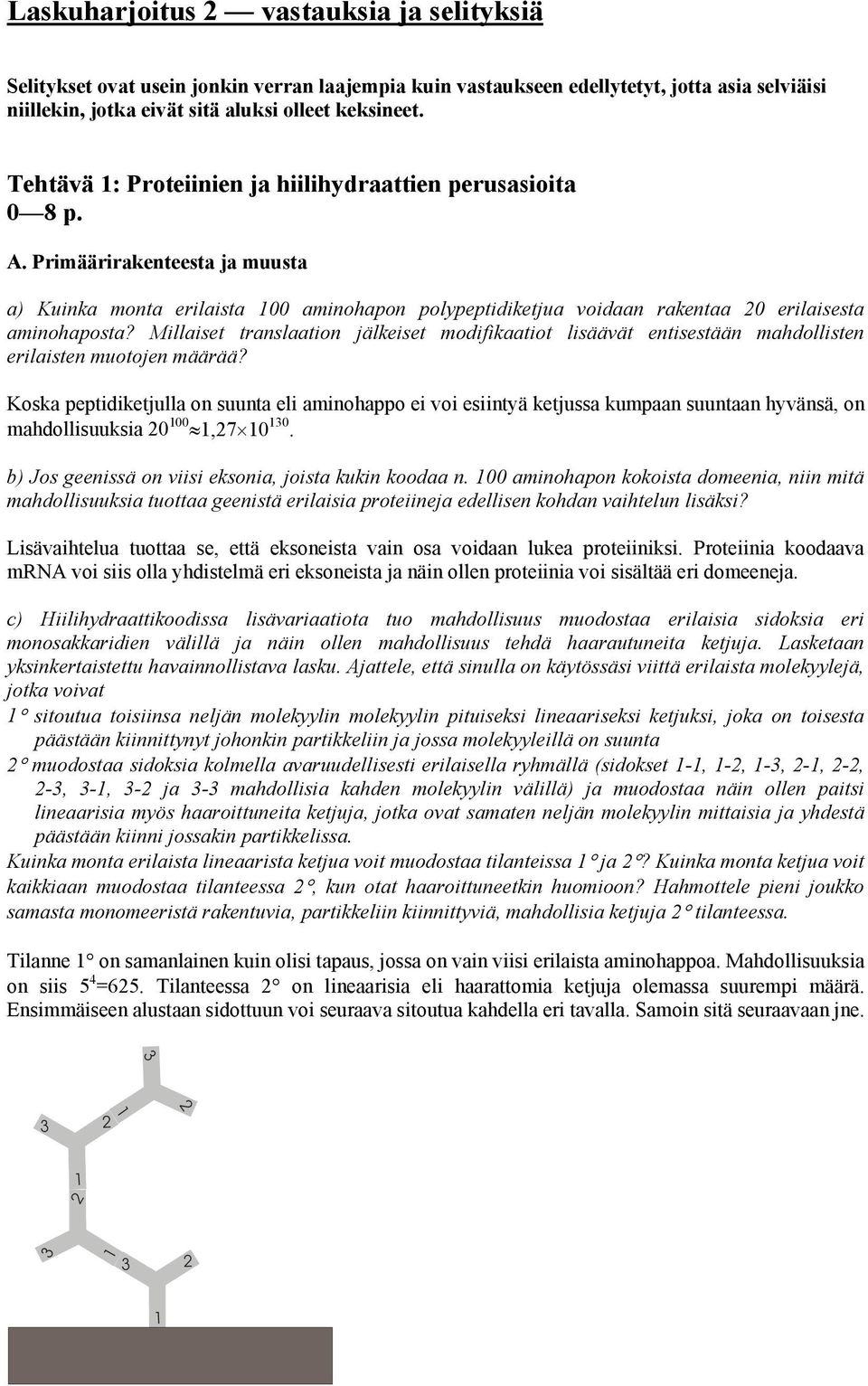 Millaiset translaation jälkeiset modifikaatiot lisäävät entisestään mahdollisten erilaisten muotojen määrää?