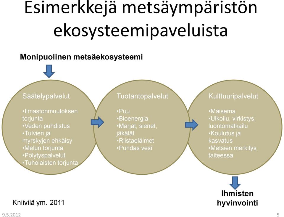 Tuotantopalvelut Puu Bioenergia Marjat, sienet, jäkälät Riistaeläimet Puhdas vesi Kulttuuripalvelut Maisema