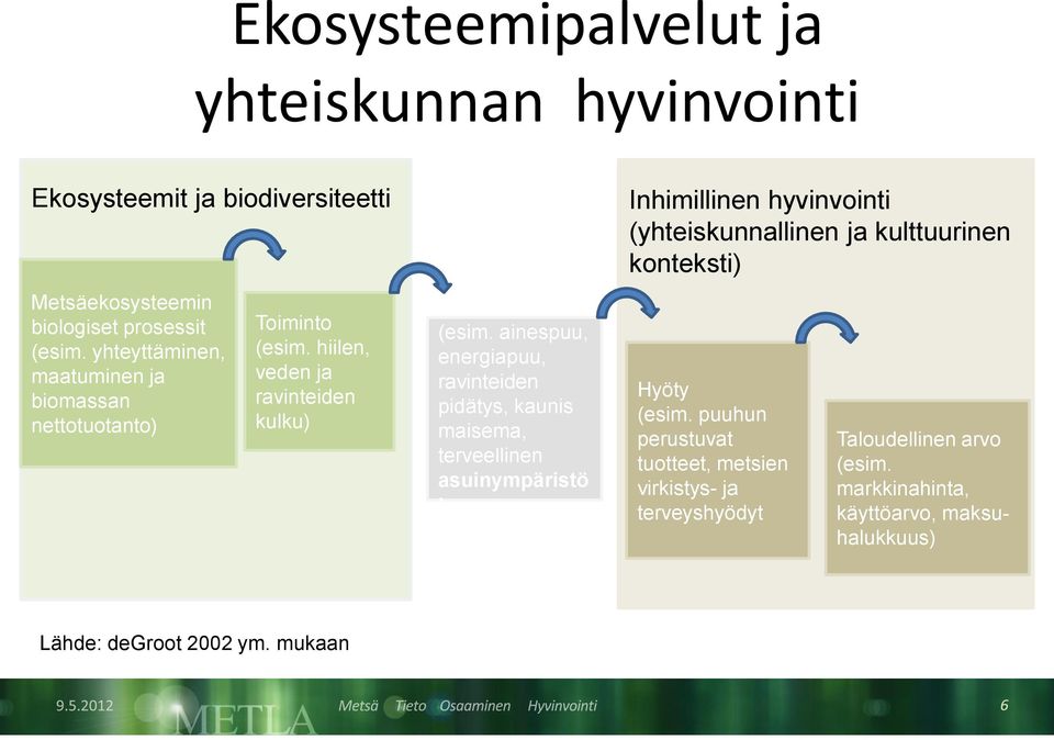 ainespuu, energiapuu, ravinteiden pidätys, kaunis maisema, terveellinen asuinympäristö ) Inhimillinen hyvinvointi (yhteiskunnallinen ja