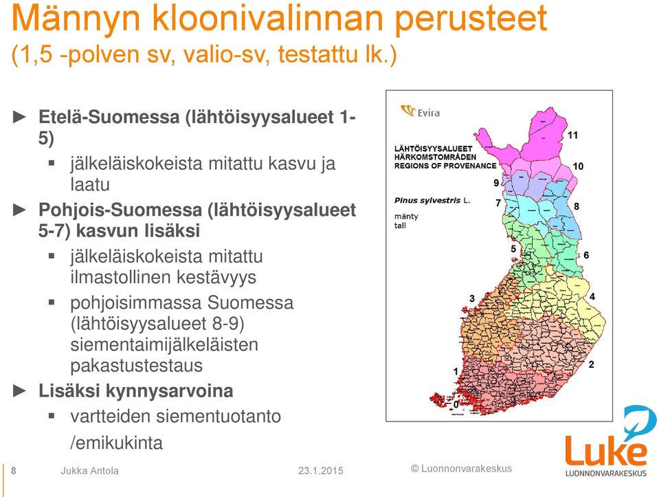 (lähtöisyysalueet 5-7) kasvun lisäksi jälkeläiskokeista mitattu ilmastollinen kestävyys pohjoisimmassa