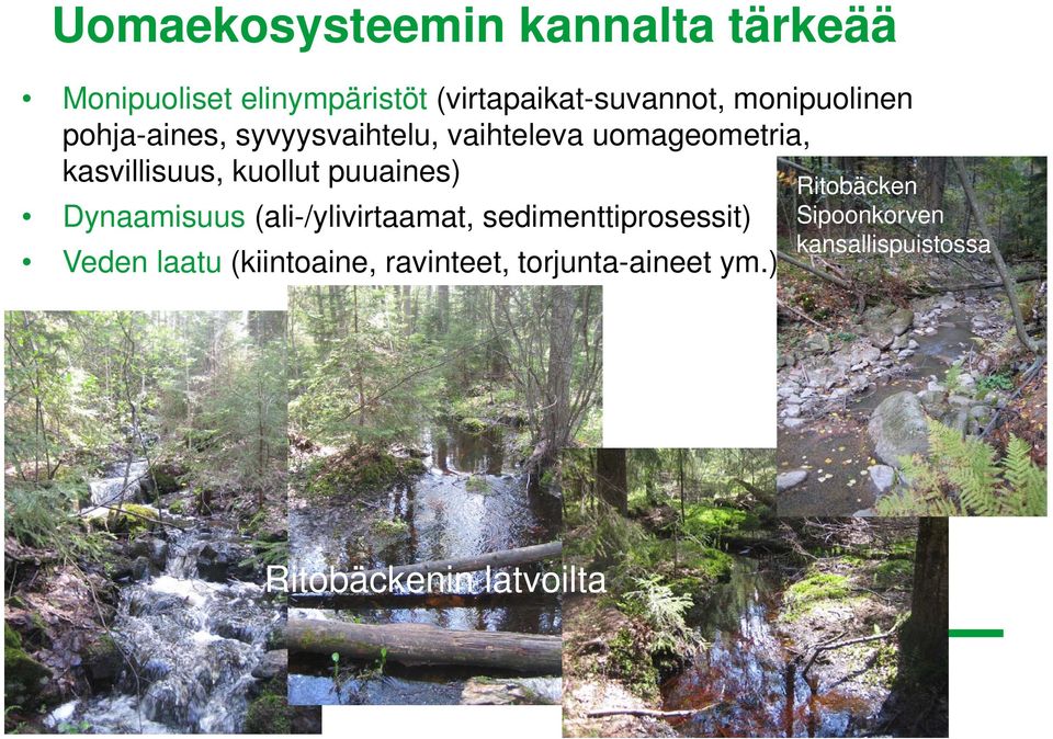 puuaines) Dynaamisuus (ali-/ylivirtaamat, sedimenttiprosessit) Veden laatu (kiintoaine,