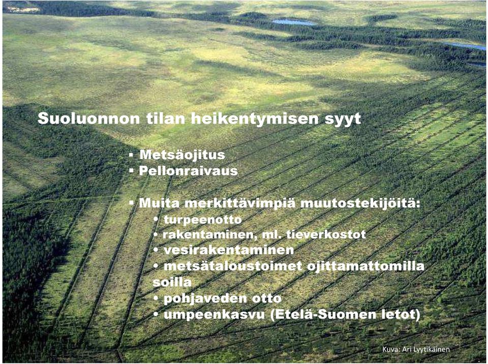 tieverkostot vesirakentaminen metsätaloustoimet ojittamattomilla