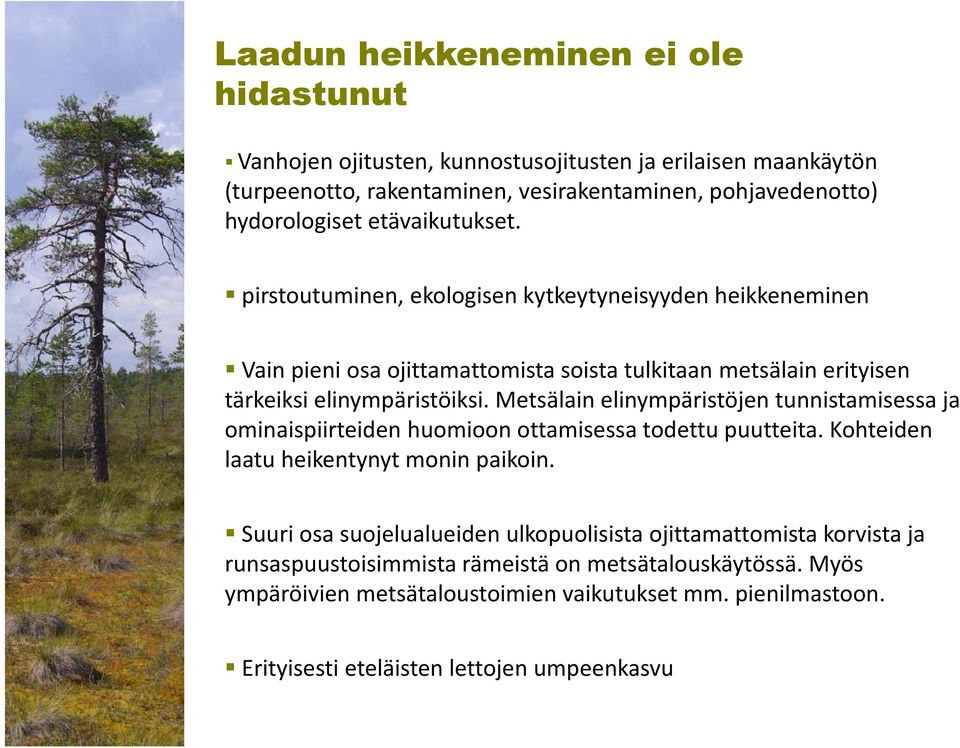 Metsälain elinympäristöjen tunnistamisessa ja ominaispiirteiden huomioon ottamisessa todettu puutteita. Kohteiden laatu heikentynyt monin paikoin.