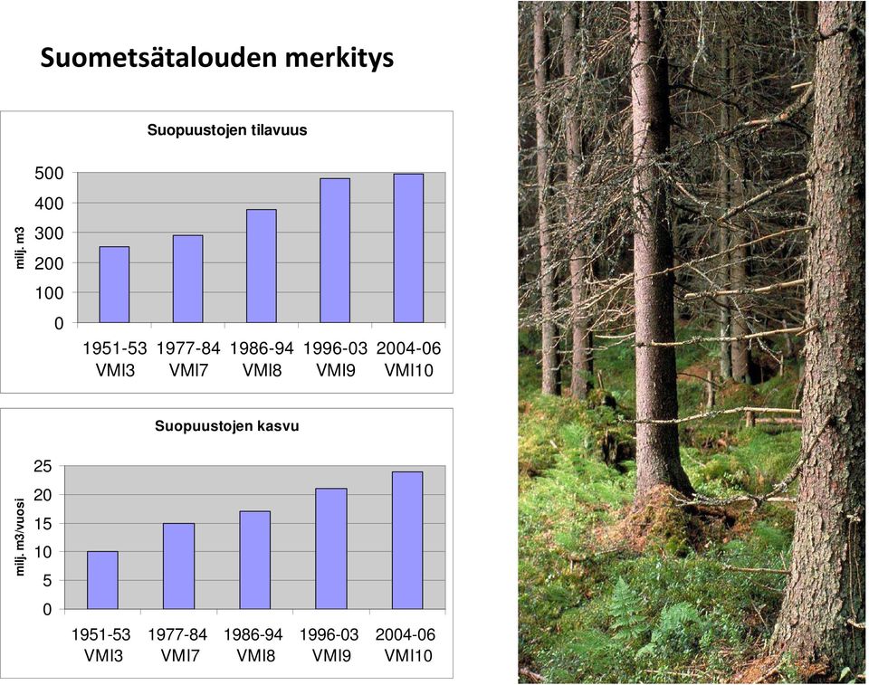 VMI9 2004-06 VMI10 Suopuustojen kasvu 25 milj.