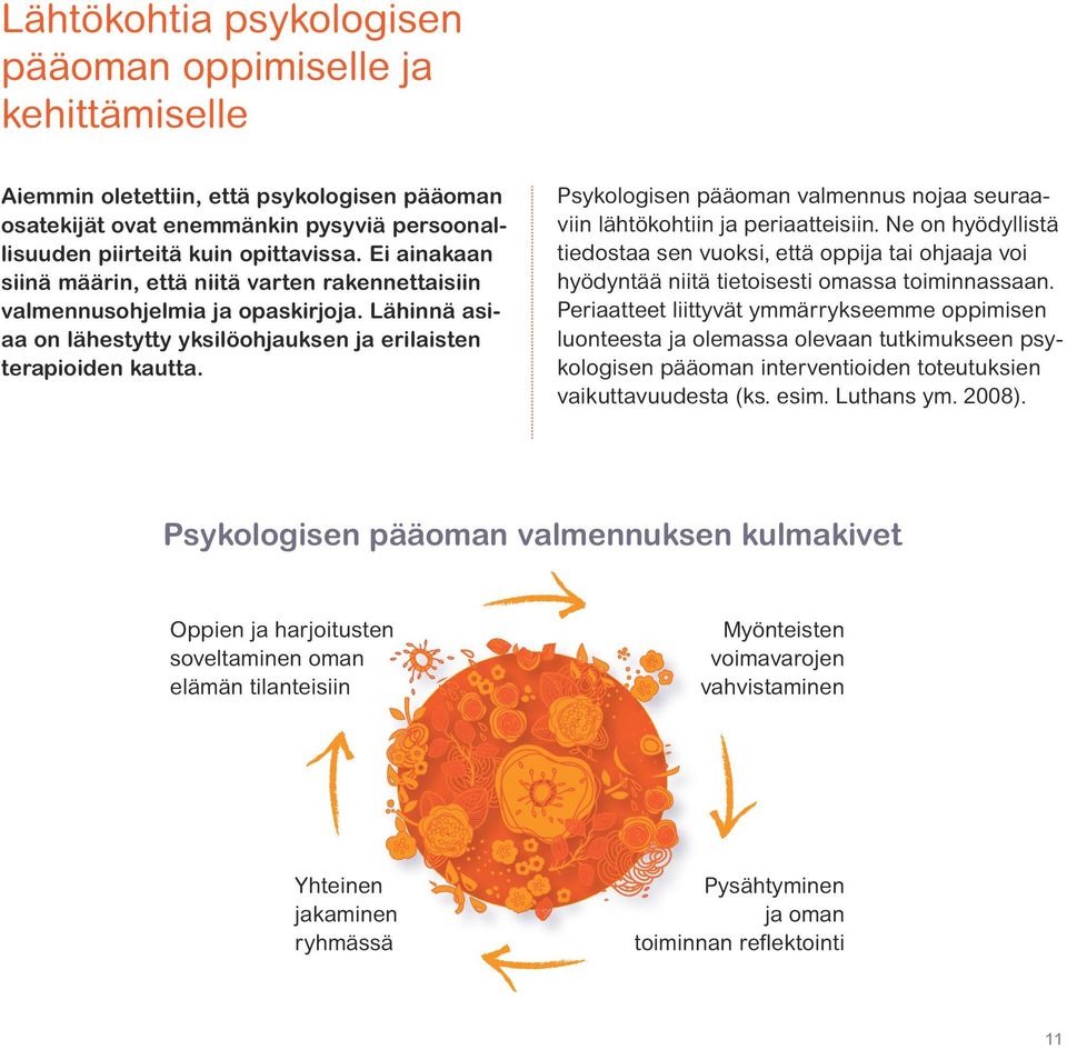 Psykologisen pääoman valmennus nojaa seuraaviin lähtökohtiin ja periaatteisiin. Ne on hyödyllistä tiedostaa sen vuoksi, että oppija tai ohjaaja voi hyödyntää niitä tietoisesti omassa toiminnassaan.