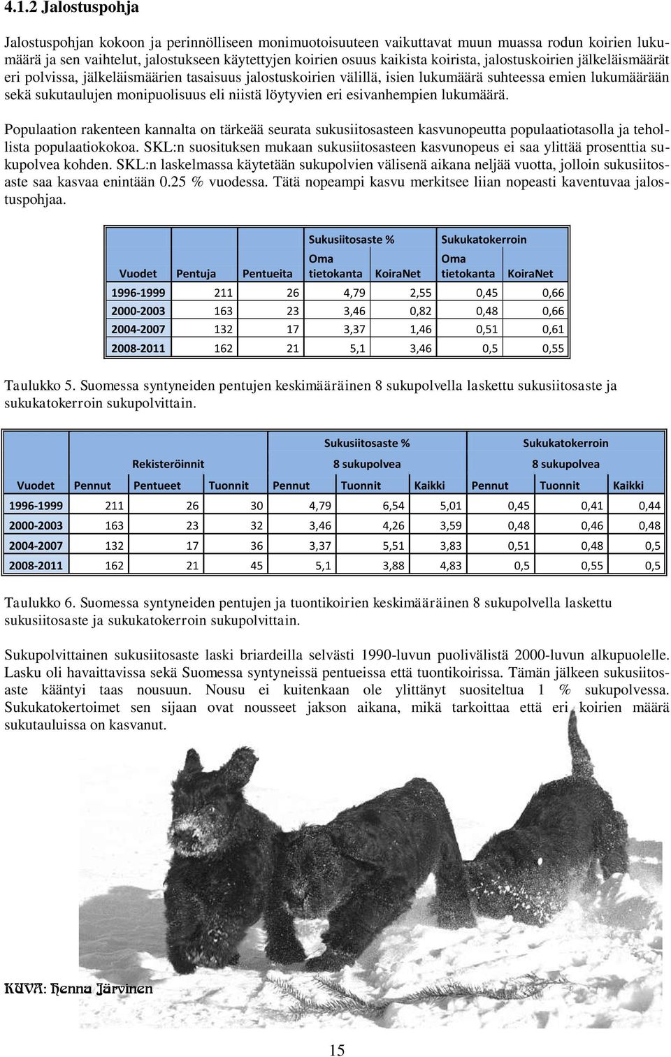 löytyvien eri esivanhempien lukumäärä. Populaation rakenteen kannalta on tärkeää seurata sukusiitosasteen kasvunopeutta populaatiotasolla ja tehollista populaatiokokoa.