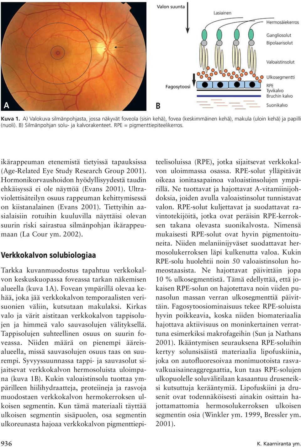 Hormonikorvaushoidon hyödyllisyydestä taudin ehkäisyssä ei ole näyttöä (Evans 2001). Ultraviolettisäteilyn osuus rappeuman kehittymisessä on kiistanalainen (Evans 2001).