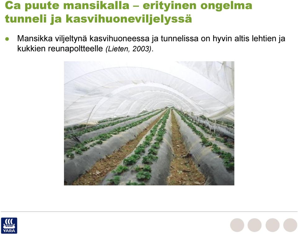 kasvihuoneessa ja tunnelissa on hyvin altis