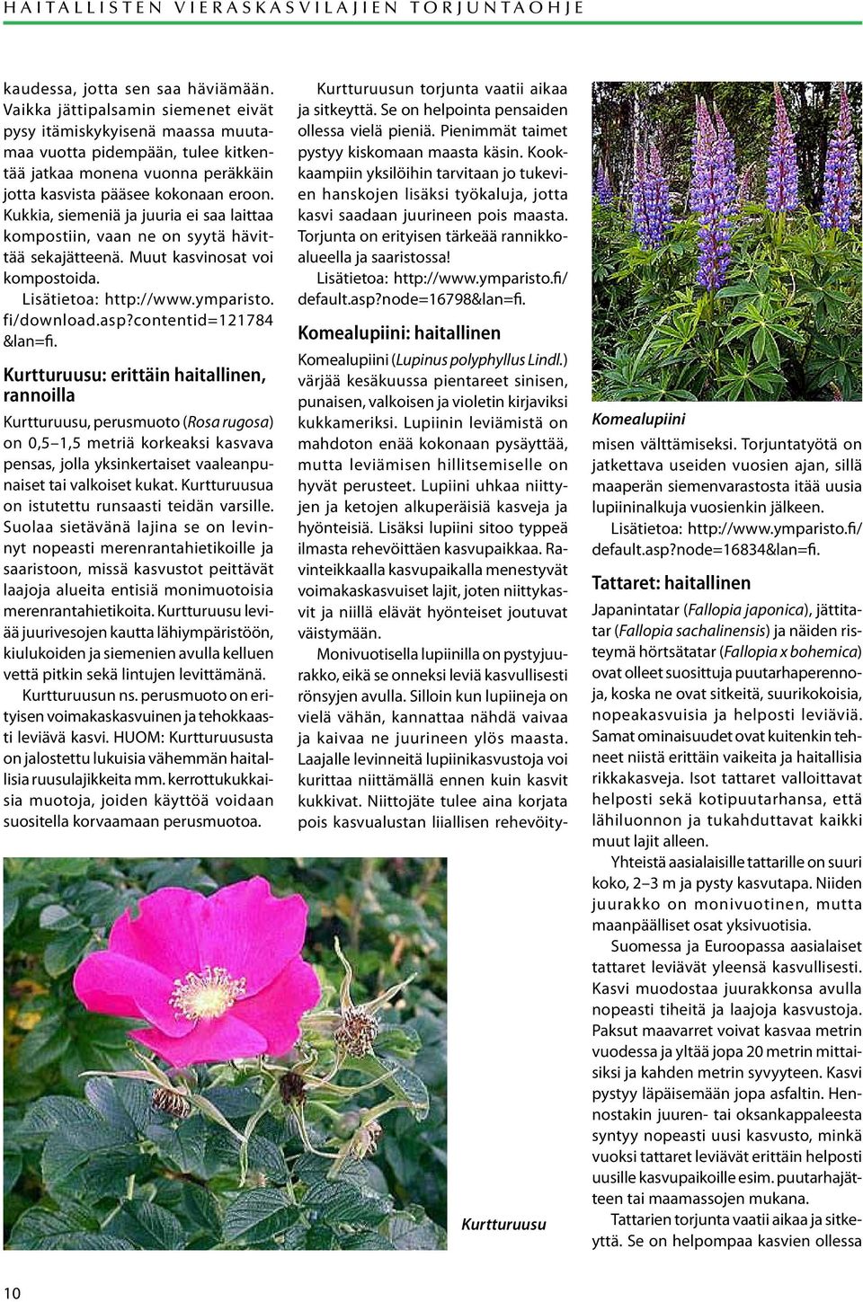 Kukkia, siemeniä ja juuria ei saa laittaa kompostiin, vaan ne on syytä hävittää sekajätteenä. Muut kasvinosat voi kompostoida. Lisätietoa: http://www.ymparisto. fi/download.asp?