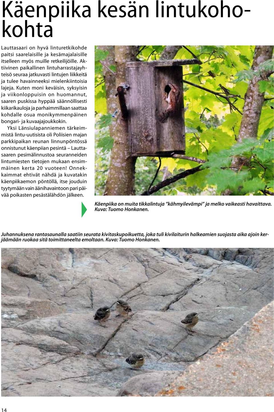 Kuten moni keväisin, syksyisin ja viikonloppuisin on huomannut, saaren puskissa hyppää säännöllisesti kiikarikauloja ja parhaimmillaan saattaa kohdalle osua monikymmenpäinen bongari- ja