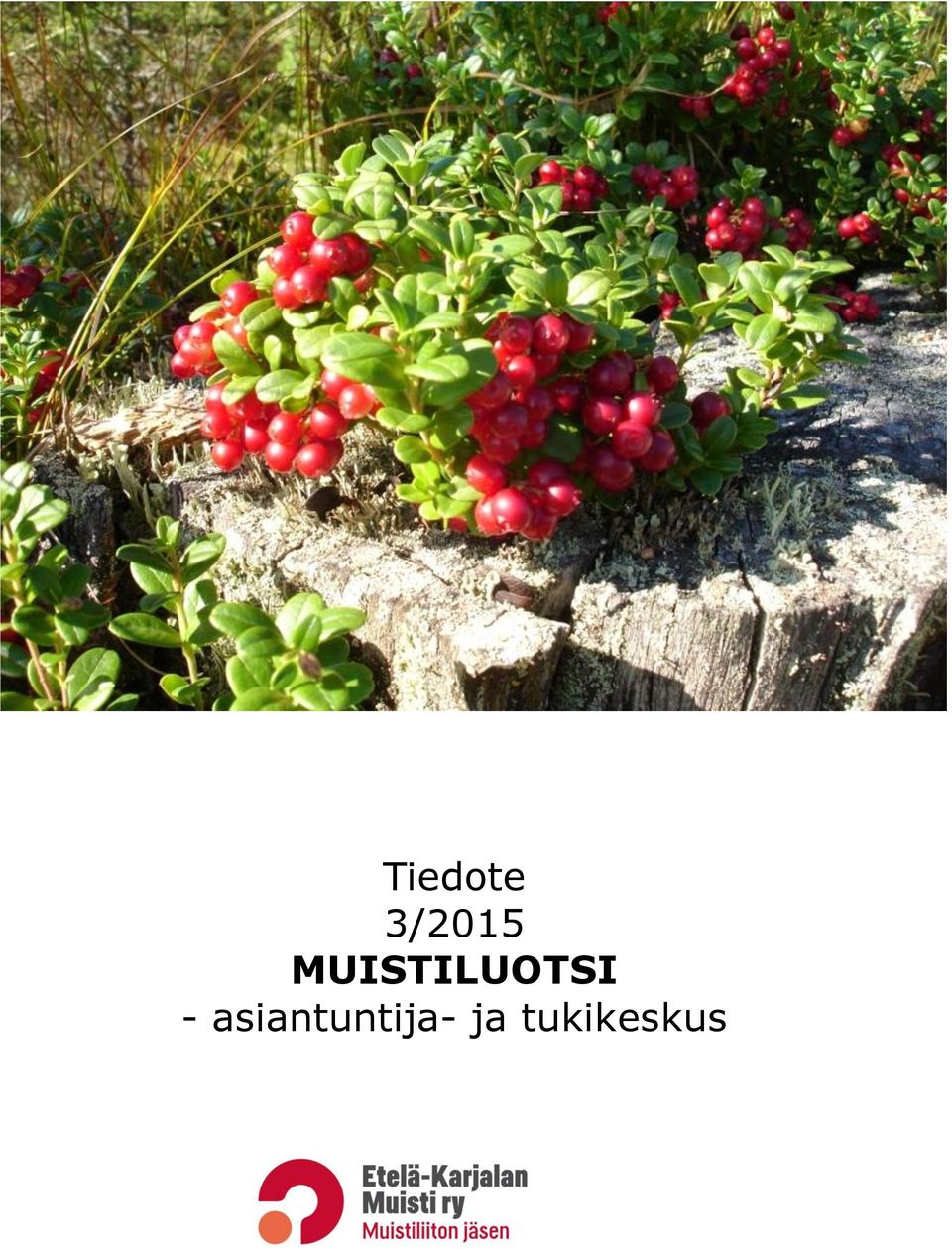 asiantuntija-