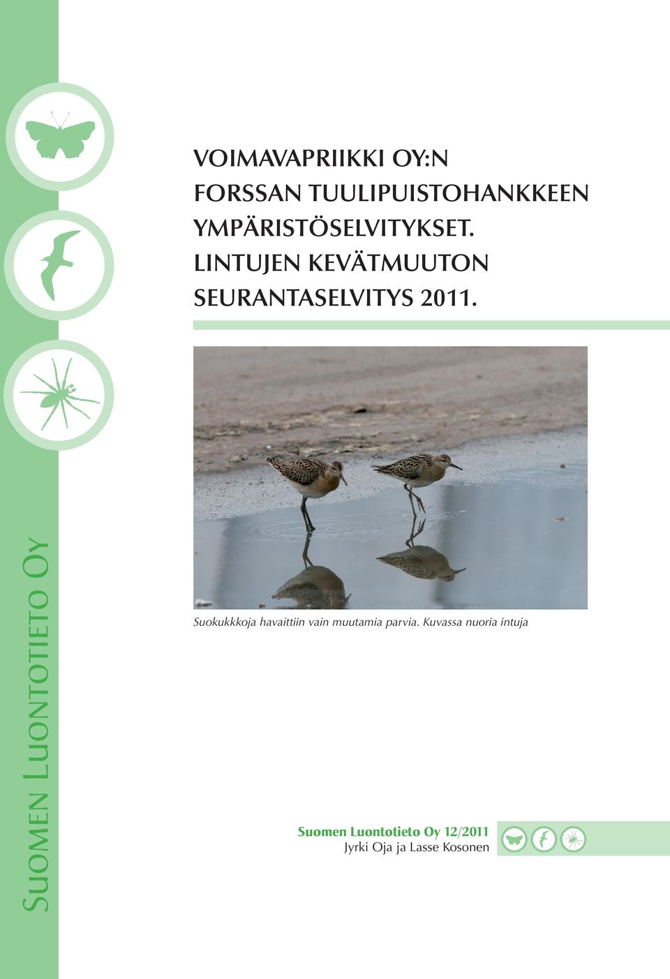 Lintujen kevätmuuton seurantaselvitys 2011.