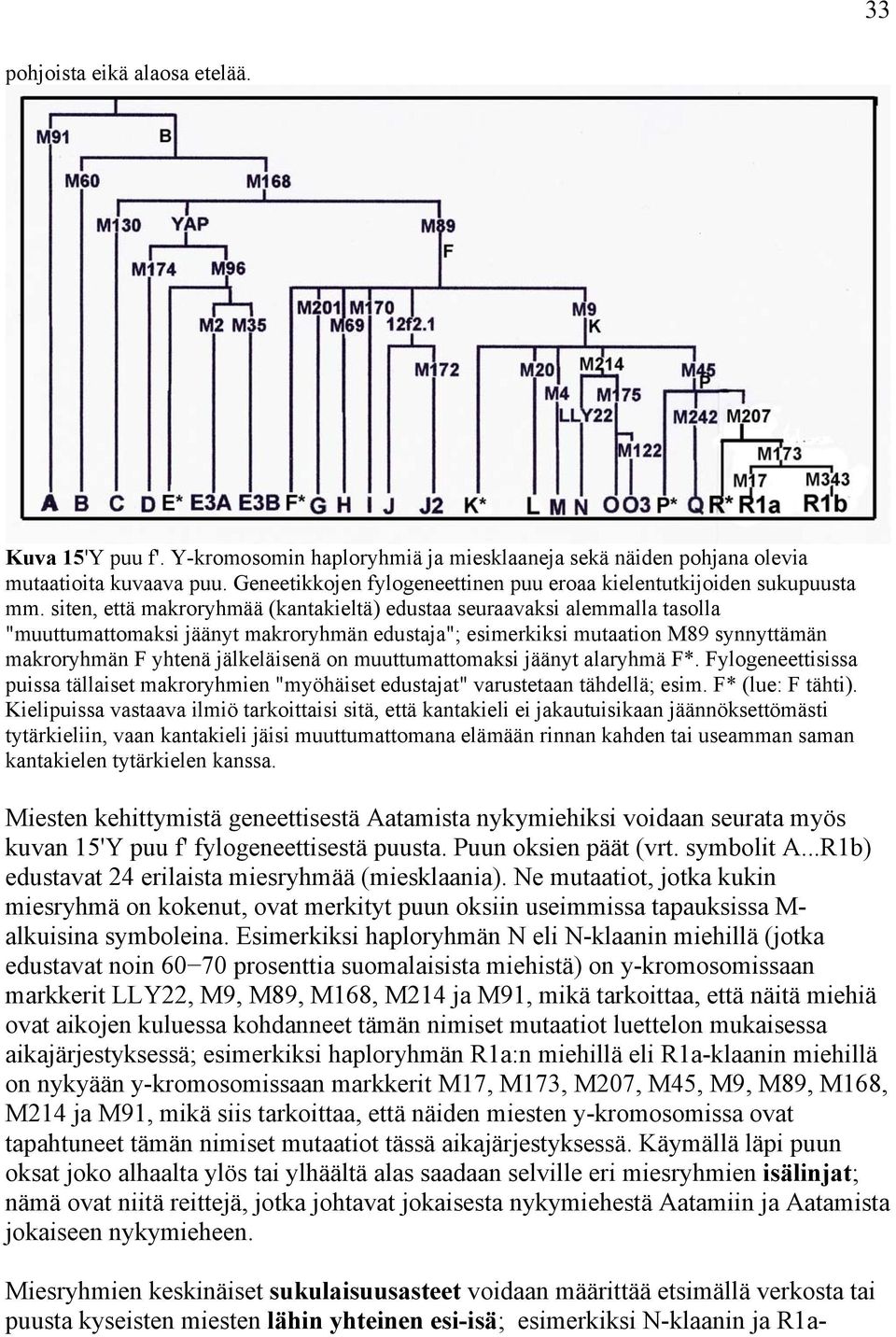 siten, että makroryhmää (kantakieltä) edustaa seuraavaksi alemmalla tasolla "muuttumattomaksi jäänyt makroryhmän edustaja"; esimerkiksi mutaation M89 synnyttämän makroryhmän F yhtenä jälkeläisenä on