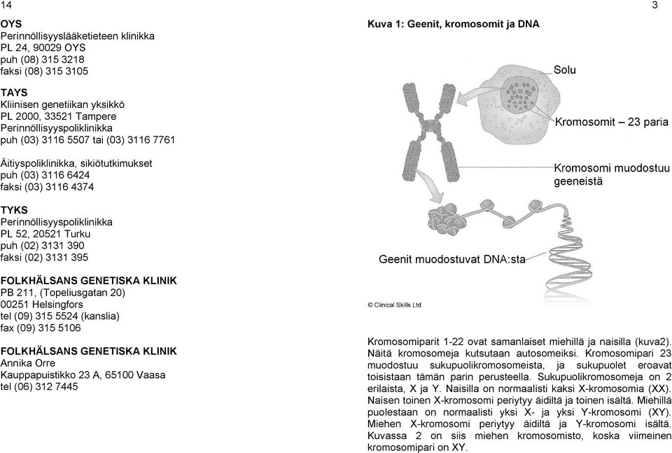 Geenit, kromosomit ja DNA 3 FOLKHÄLSANS GENETISKA KLINIK PB 211, (Topeliusgatan 20) 00251 Helsingfors tel (09) 315 5524 (kanslia) fax (09) 315 5106 FOLKHÄLSANS GENETISKA KLINIK Annika Orre