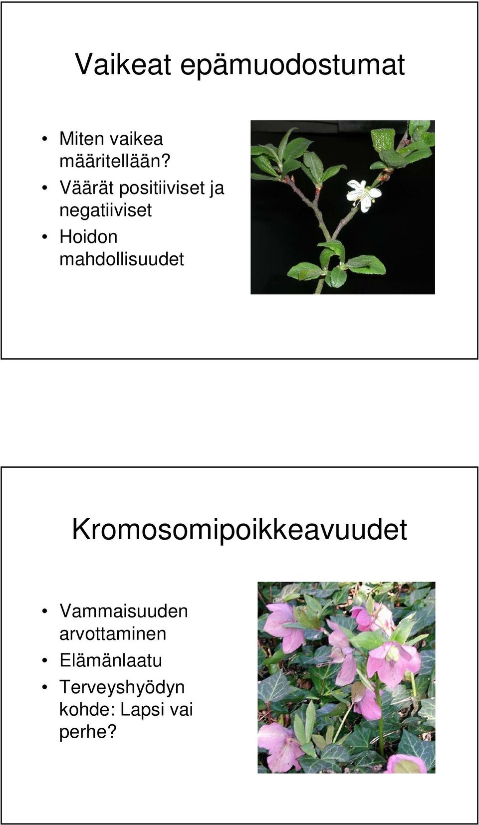 mahdollisuudet Kromosomipoikkeavuudet Vammaisuuden