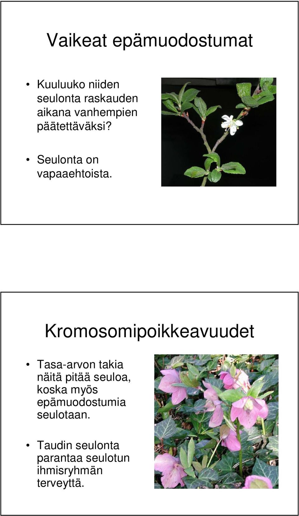 Kromosomipoikkeavuudet Tasa-arvon takia näitä pitää seuloa, koska