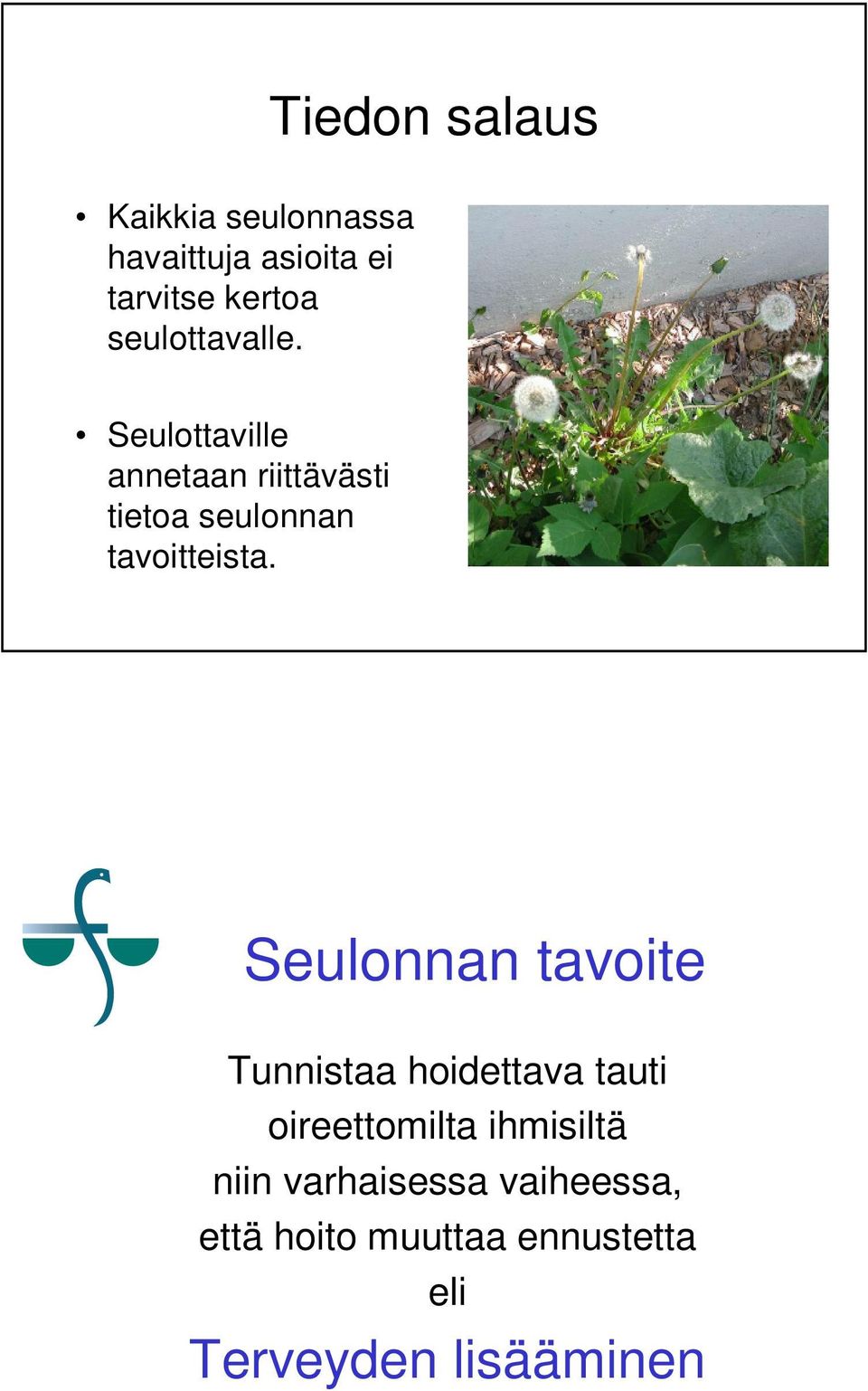 Seulottaville annetaan riittävästi tietoa seulonnan tavoitteista.