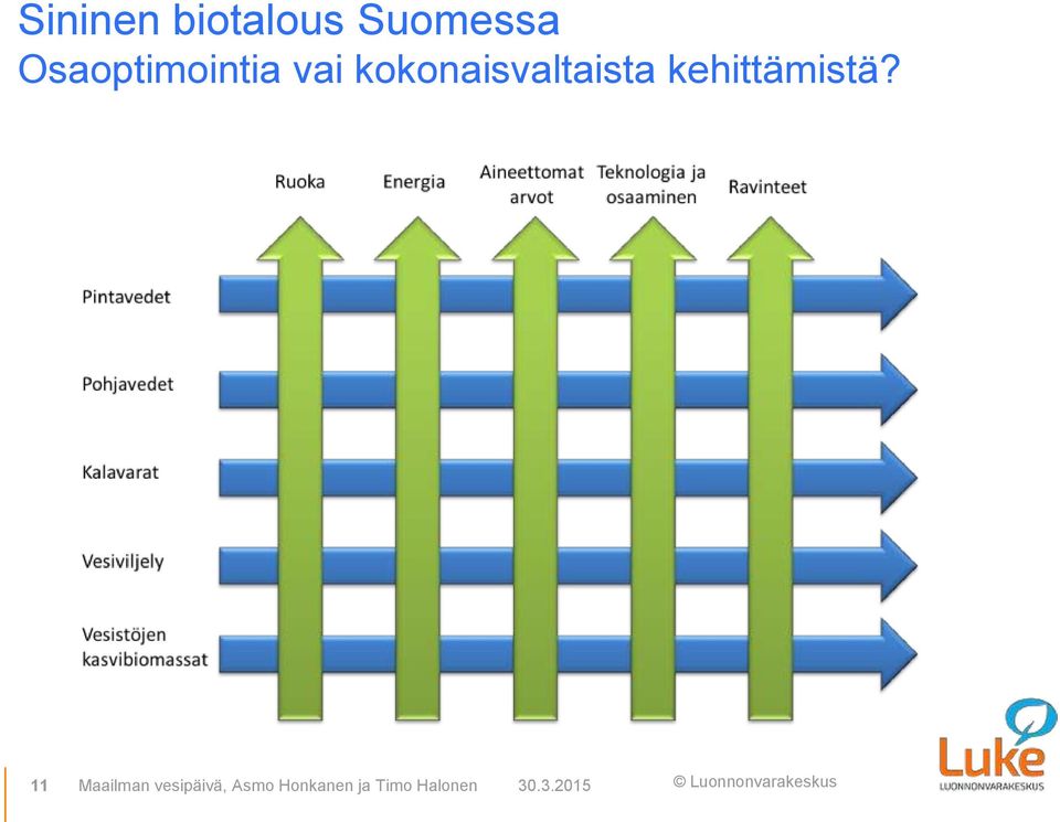 kokonaisvaltaista kehittämistä?